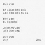 [댓글부탁해] 전<b>소미</b>랑 나연닮은거면