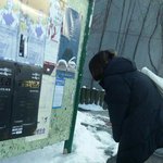 양의 탈을 쓴 <b>늑대</b>는 알고보니...?????????????