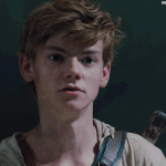 [드루와] 메이즈<b>러너</b>