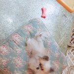 공부 <b>관련</b> 질문 해도 될까요..??