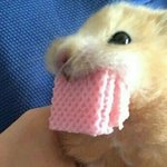 [EXO] 니들 왜그래 계란후라이는