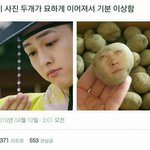 난 왜 강아지를 안좋아할까