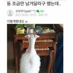 와 며칠전에 지나가다 개봤는데