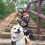 [댓글부탁해] 엄마랑 당일치기여행가는데 부산갈곳추천좀ㅠㅠ