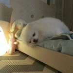 내가 썼는데 봐줘ㅎ