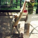 <b>나</b>한테 말빨로 <b>이길</b>수있는<b>사람</b> 이겨봐