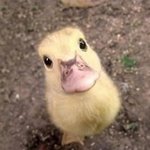 [댓글부탁해] <b>스</b>엠 글로벌오디션 그냥