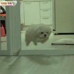 [웹툰카툰] 웹툰추천