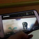 증강현실 한번 해보세요 ~