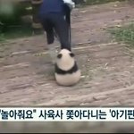 [댓글부탁해] 자꾸 매달리는데 어떻게해;;;<b>사진o</b>
