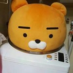 엥 내 <b>칫솔</b>모가 이상해