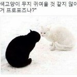 [약19] 망상글 모음집 푼다!