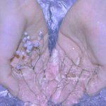 아이폰기본으로 셀카 찍으면