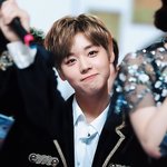너네는 꿈이 뭐야?