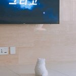 [드루와] <b>레나</b> 구독자수 줄어드니까 ㅋㅋㅋ