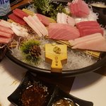 <b>참치</b>회 샷~