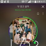 [강다니엘] <b>설탕</b>뮤직 공식 짹