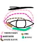 [댓글부탁해] 자기 눈화장법 공유<b>하장</b>!!!!!!