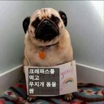 [꼭봐주세요] 예비 고1의 걱정