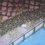 [댓글부탁해] 심즈 도둑이나 회수인 짜증나는애들팁알려줌