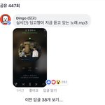 [세븐틴] <b>딩</b>거 댓글에 있는