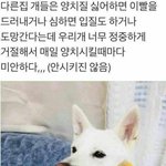 <b>포인핸드</b>라는 앱 보다가