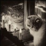 <b>여보</b>떼여 <b>여보</b>떼여