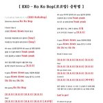 [EXO] 코코밥 숨겨진 <b>피쳐링</b>...