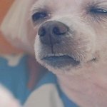 [이삐] <b>슈</b><b>스</b>방 카드 ㄹㅇ 랜덤이라 슬프다ㅋㅋㅋ