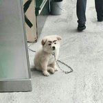 [드루와] 신발 자칭 경찰이라는새끼한테 오해받았다