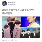 [박우진] 얘 외 요줌 눈을 외그렇게 뚸?
