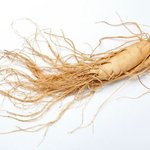 [드루와] <b>인삼</b> 싫어하는애들 들어와