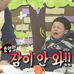 [세븐틴] 캐럿들