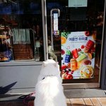 [드루와] <b>외로움</b>이라는 감정이 없었으면 좋겠다
