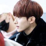 [세븐틴] 이도겸 콧대 진짜 지림