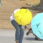 [EXO] 니네 <b>빵</b>글이란 말 아냐