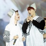 [EXO] 야 그짤 있는사람