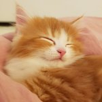 [드루와] 지금 카톡보내면 <b>실례</b>냐