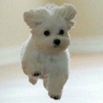 원래 <b>노노</b>거리는말투가 사투리였는데