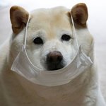 [댓글부탁해] 100만원 <b>꽁돈</b>이 생기면 뭐하고싶어