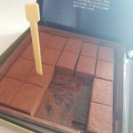<b>로이스</b>초콜렛 마시따