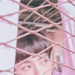 [EXO] 헐