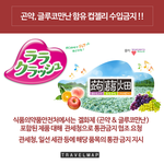 [일본여행] 일본 곤약젤리 <b>반입</b>금지 안내