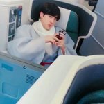 너네 이상형 동물에 <b>비유</b>하면뭐야 ?
