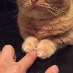 똥싸다 <b>기절</b>할뻔 한적 있는사람ㅋㅋㅋㅋ