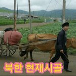 [꼭봐주세요] 북한  현재 <b>시골생활</b>