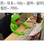 [조언부탁해] 고민좀 들어줄래??