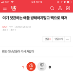 [EXO] 애들아 댓관하자