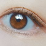 [드루와] +)사진有) 실쌍테 최고 쌍수고민하는 애들 커몬