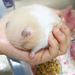 [댓글부탁해] 남자들 <b>얼</b><b>평</b>좀 하지마라 ㅋㅋㅋ